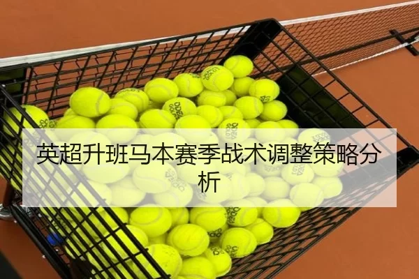 英超升班马本赛季战术调整策略分析